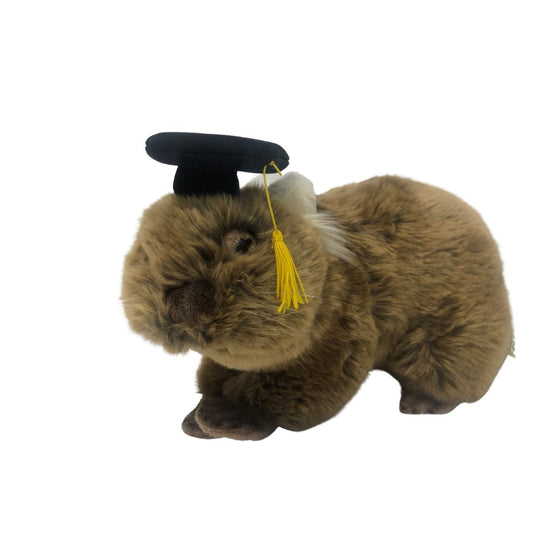 TINA WOMBAT 881/28 WITH GRADUATION HAT