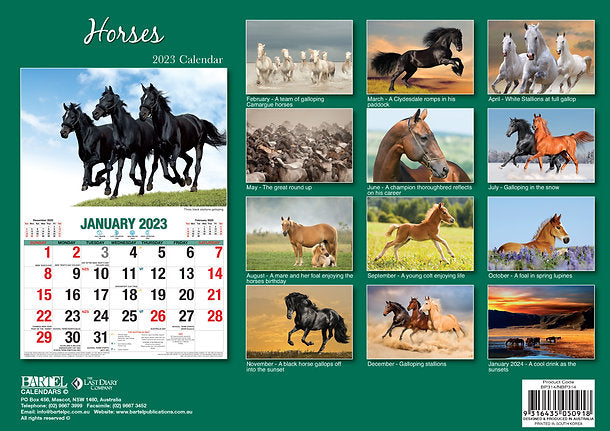 CALENDAR 2025 BIG PRINT HORSES