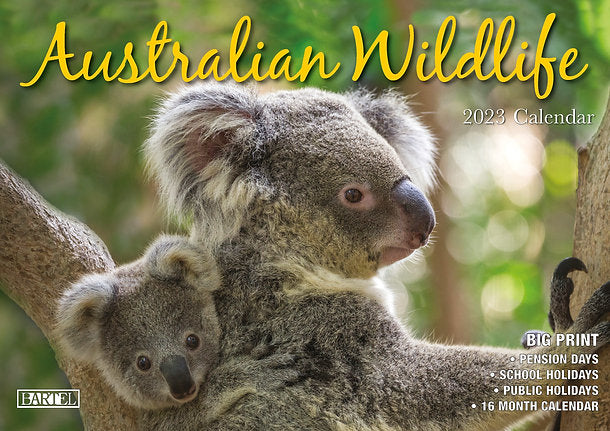 CALENDAR 2025 BIG PRINT AUSTRALIAN WILDLIFE
