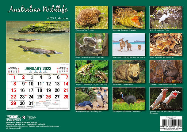 CALENDAR 2025 BIG PRINT AUSTRALIAN WILDLIFE
