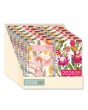 2026 AUST WOMENS DIARY
