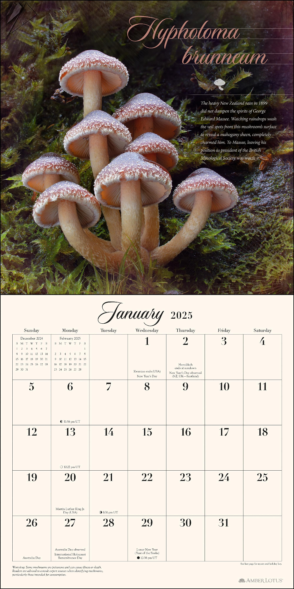 BROWN TROUT MIRACULOUS MUSHROOM 2025 SQUARE CALENDAR