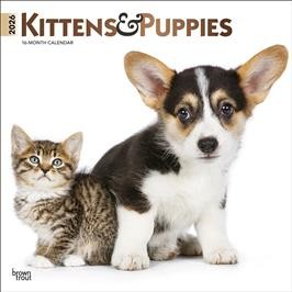 KITTENS & PUPPIES 2026 SQUARE FOIL