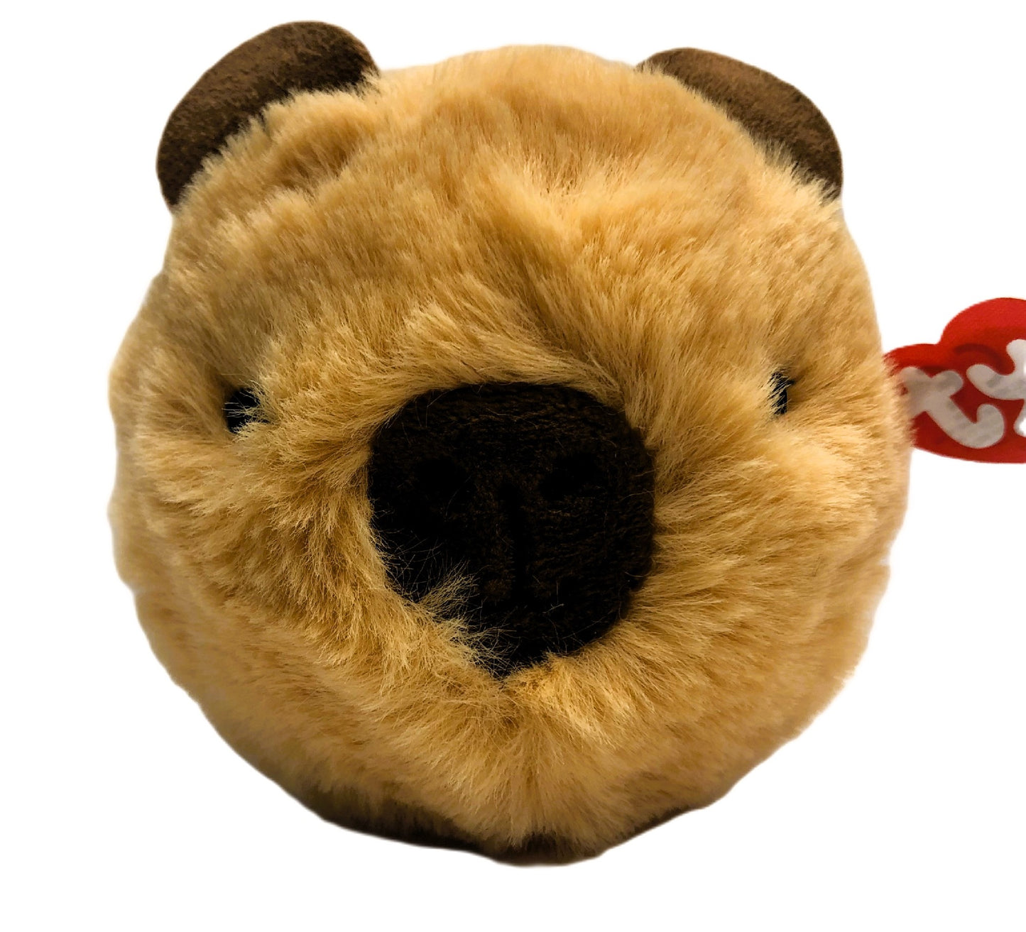 BEANIE BOUNCER - BROWN CAPYBARA BARRY