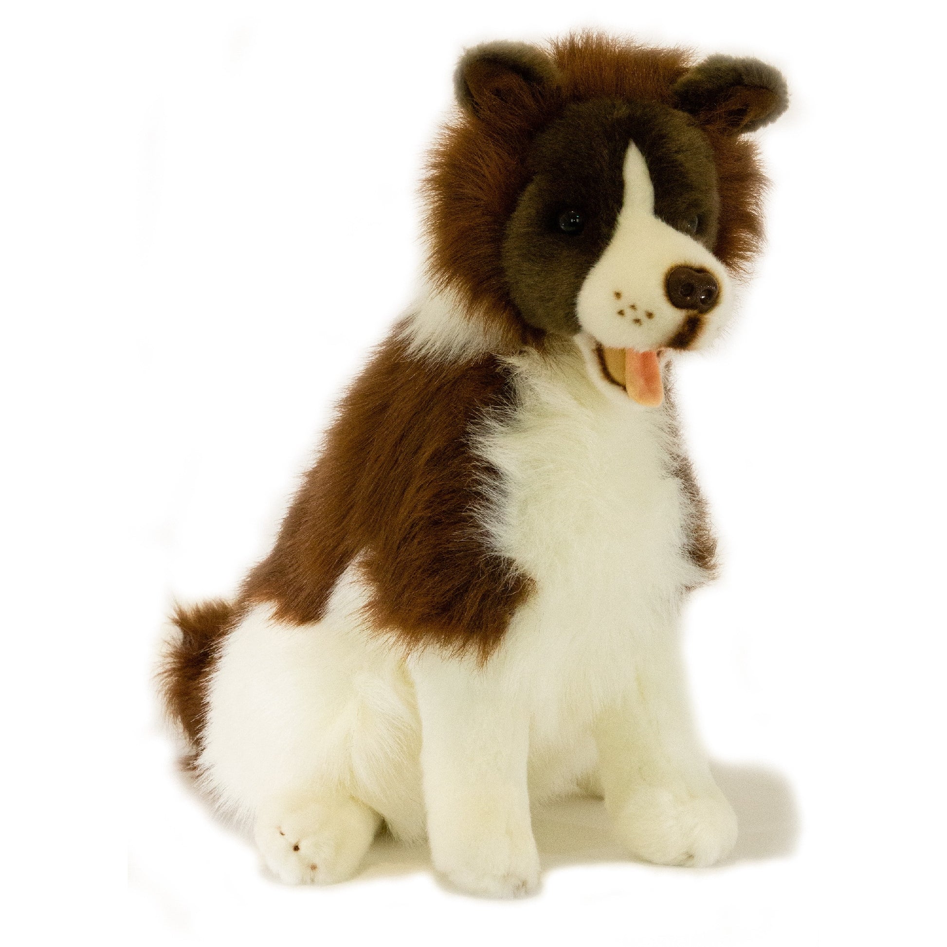 BRANDY - SPECIAL (BORDER COLLIE) 481/35