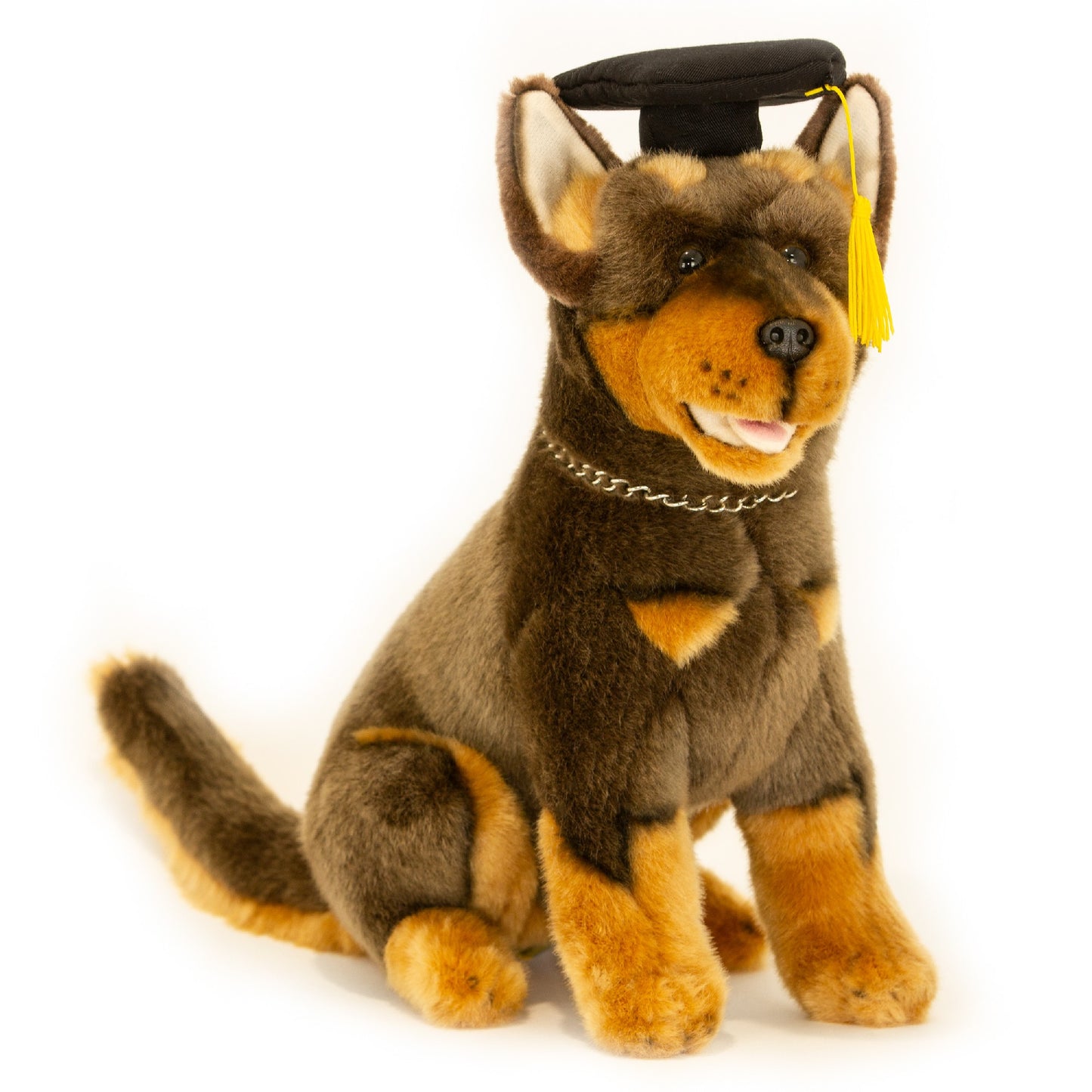 BASIL WITH GRADUATION HAT KELPIE SITTING 28CM