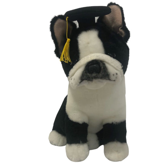 PIERRE WITH GRADUATION HAT FRENCH BULLDOG 30CM SITTING B&W