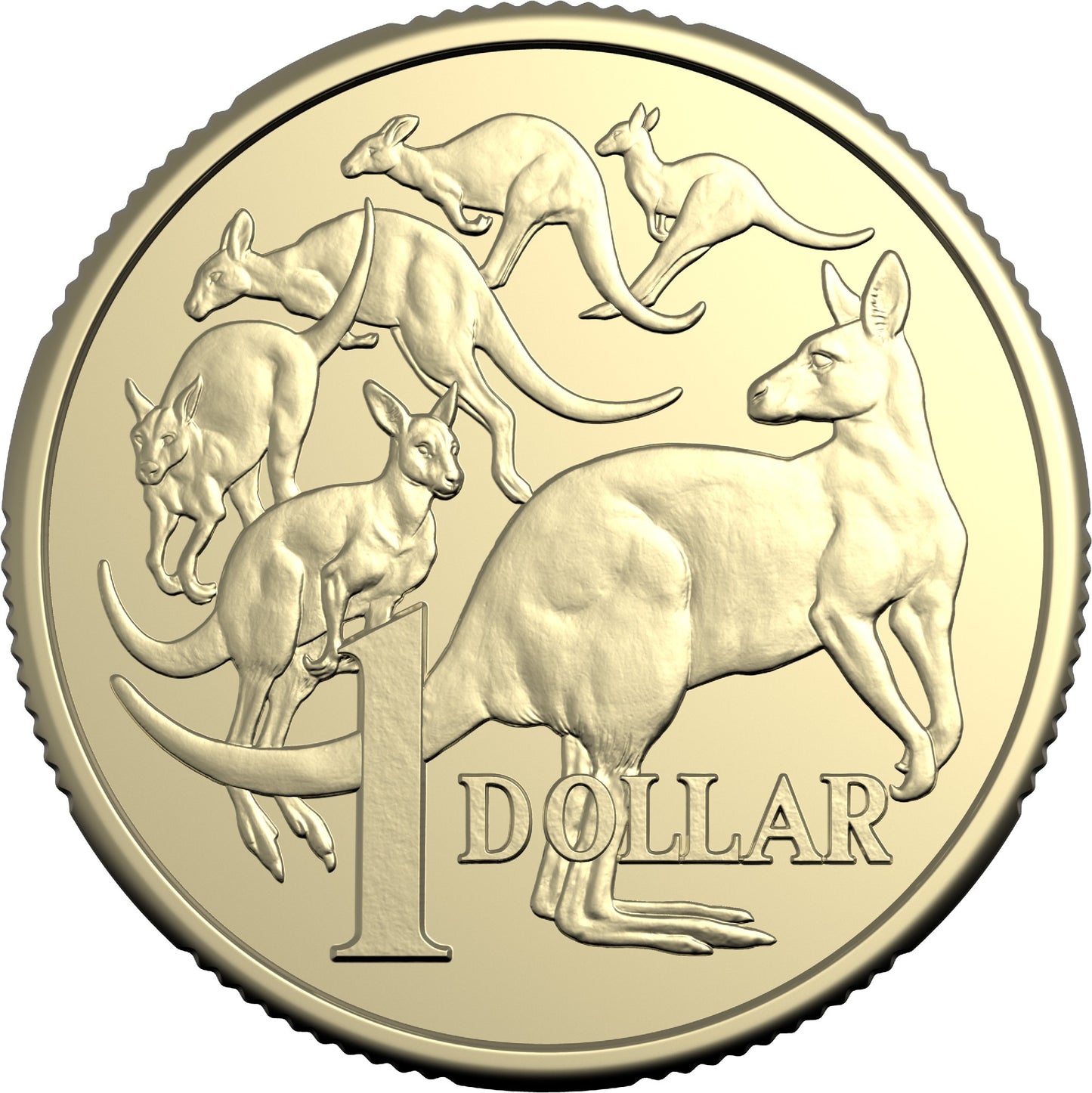 2026 $1 Circulating Coin - Non - Premium Rolls
