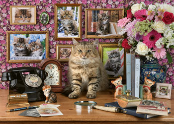 RAVENSBURGER MY CUTE KITTY  PUZZLE 1000PC JIGSAW
