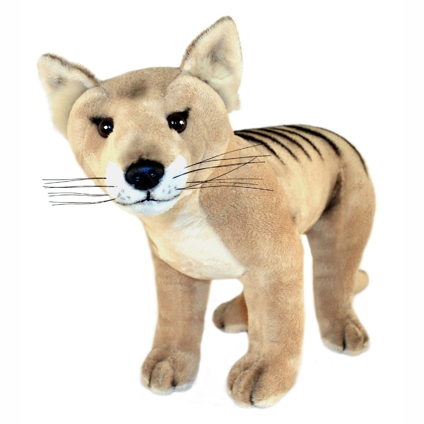 COOPER TASMANIAN TIGER 30CM