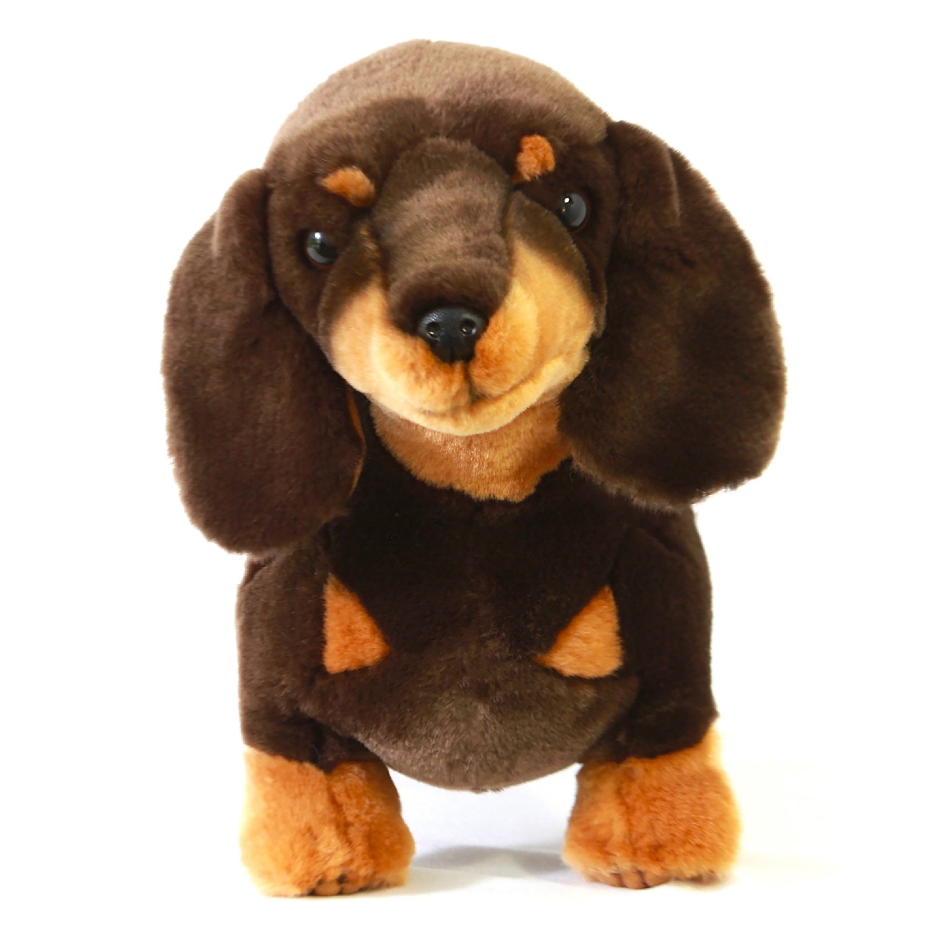 STRETCH (DACHSHUND - 36CM STANDING)