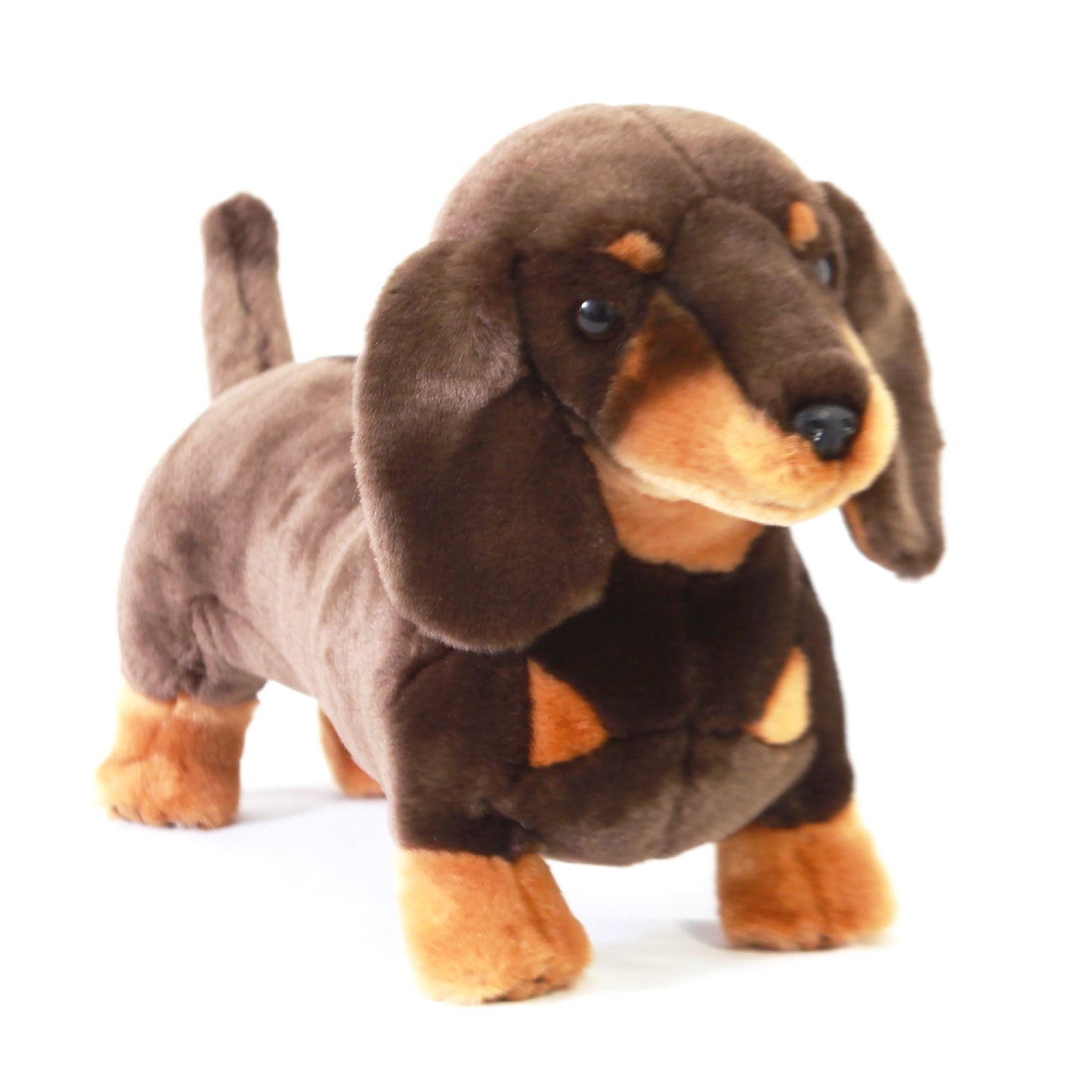 STRETCH (DACHSHUND - 36CM STANDING)