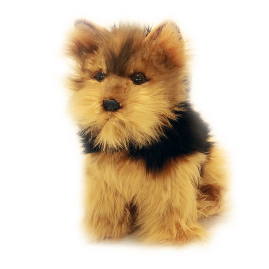 ARCHIE AUST YORKSHIRE TERRIER 28cm SITTING