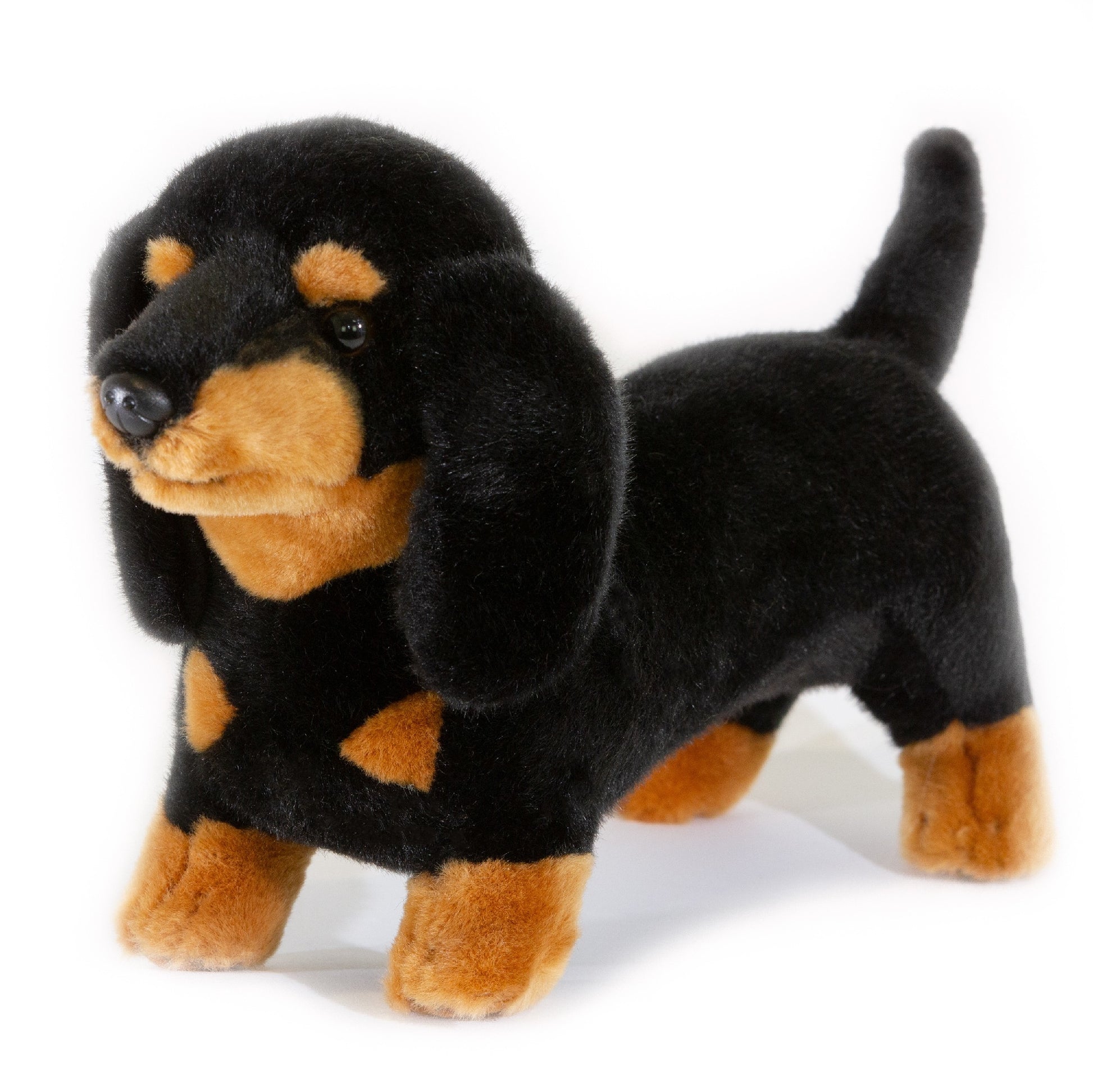 BUDDY (DACHSHUND - 36cm STANDING BLACK AND TAN)