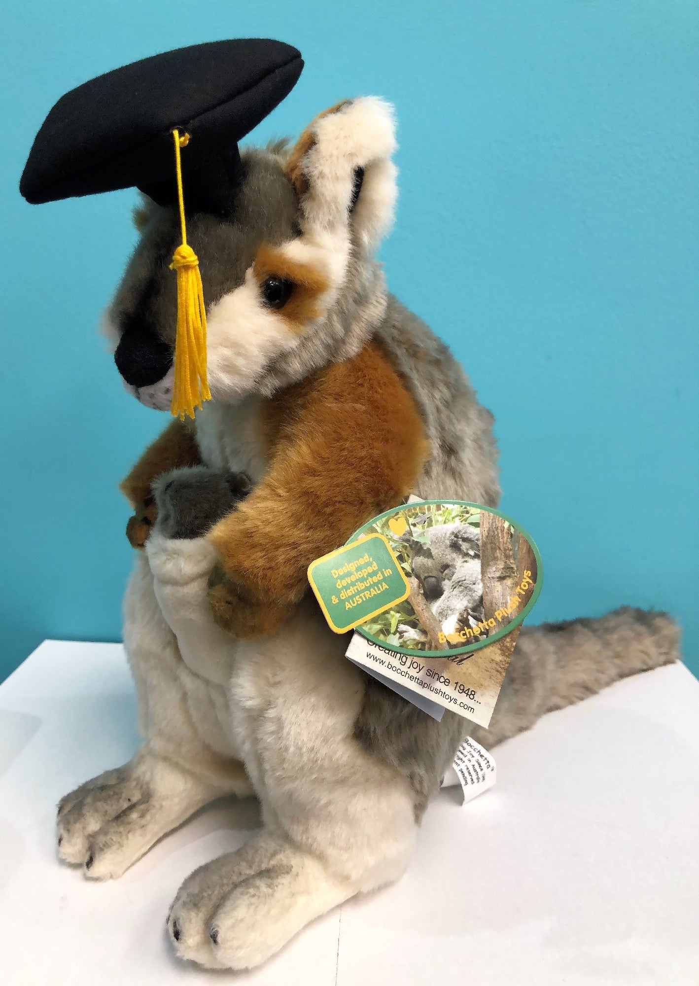 WATTLE WITH GRADUATION HAT ROCK WALLABY WITH JOEY 30CM