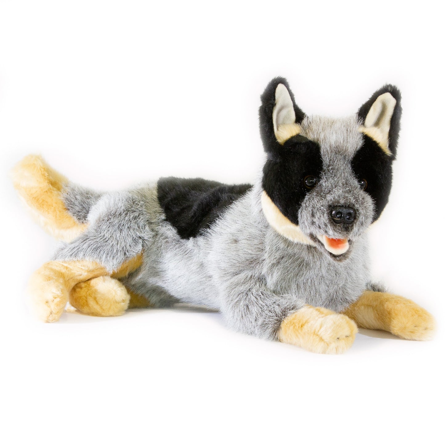 GALLAGHER (CATTLE DOG - 35cm LYING )