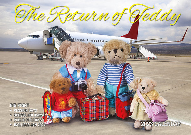 CALENDAR 2025 BIG PRINT LIFE OF TEDDY