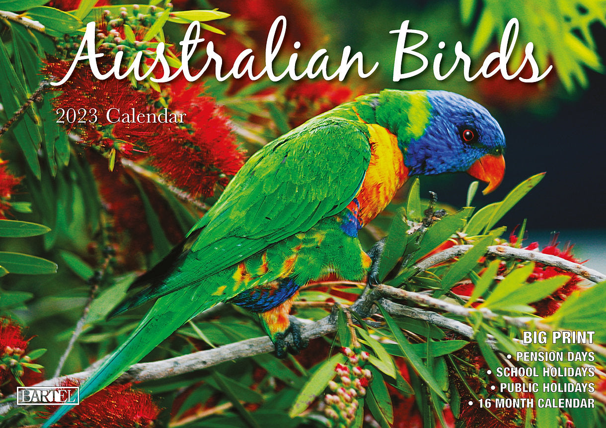 CALENDAR 2025 BIG PRINT BIRDS OF AUSTRALIA