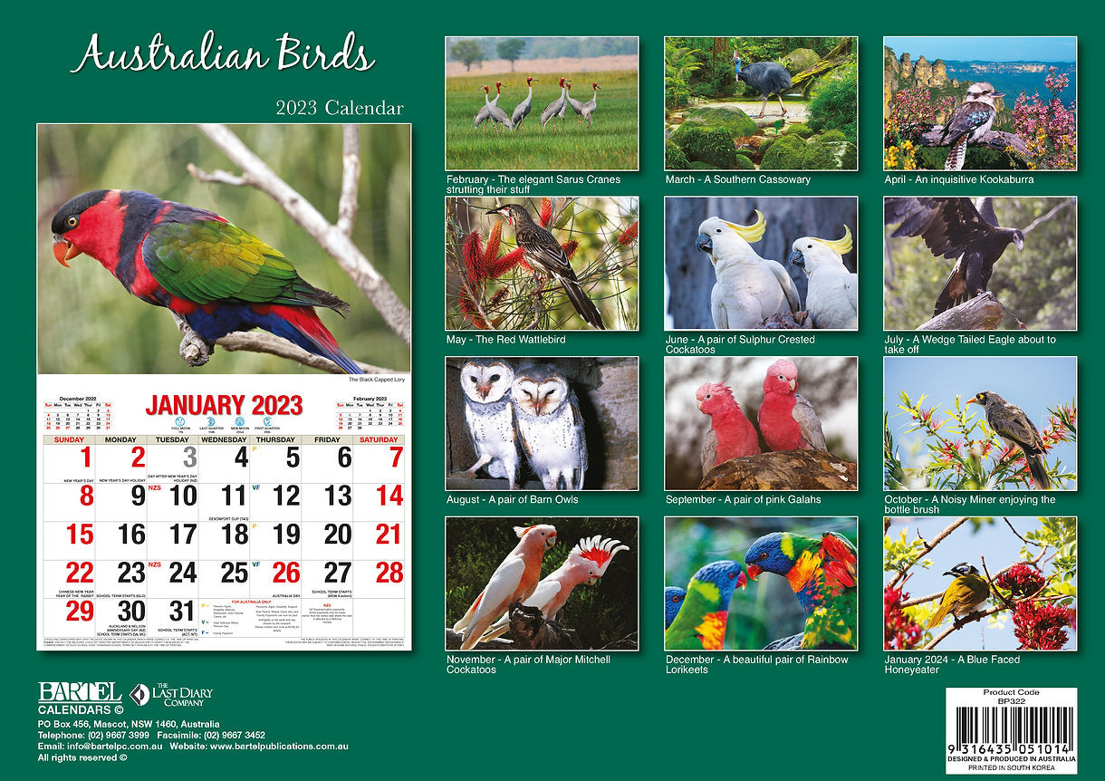 CALENDAR 2025 BIG PRINT BIRDS OF AUSTRALIA