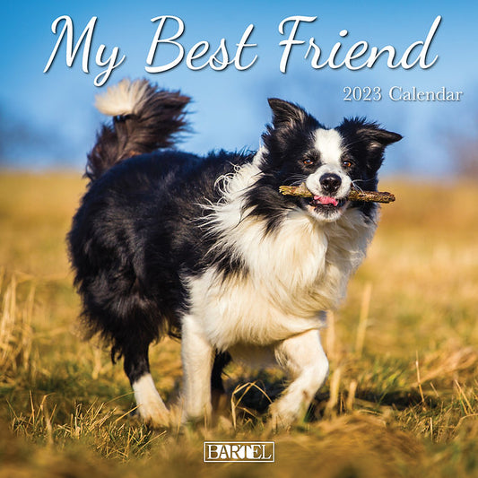 CALENDAR 2025 300X300MM BEST FRIENDS