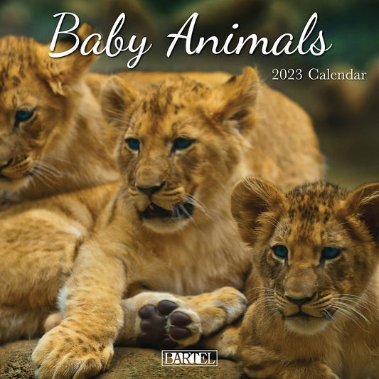 CALENDAR 2025 300X300MM BABY ANIMALS