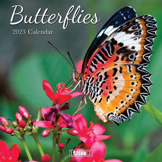 CALENDAR 2025 300X300MM BUTTERFLIES