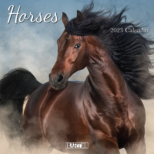 CALENDAR 2025 300X300MM HORSES