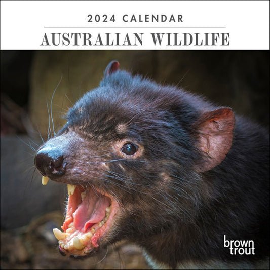 AUSTRALIAN WILDLIFE 2024 MINI