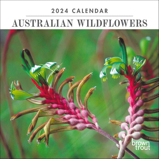AUSTRALIAN WILDFLOWERS 2024 MINI