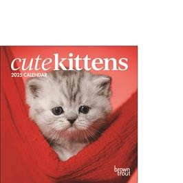 BROWN TROUT CUTE KITTENS 2025 MINI CALENDAR