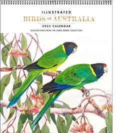 BROWN TROUT ILLUSTRATED BIRDS OF AUSTRALIA 2025 DELUXE CALENDAR