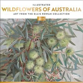 ILLUSTRATED WILDFLOWERS OF AUSTRALIA 2026 SQUARE