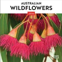 AUSTRALIAN WILDFLOWERS 2026 MINI
