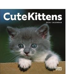 CUTE KITTENS 2026 MINI
