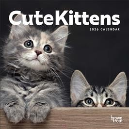 CUTE KITTENS 2026 SQUARE