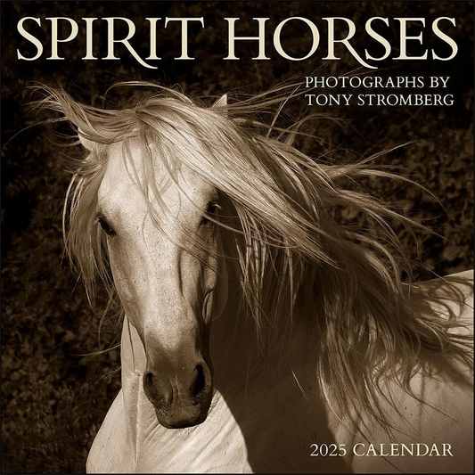 BROWN TROUT SPIRIT HORSES 2025 SQUARE BY TONY STROMBERG CALENDAR