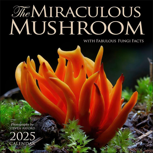 BROWN TROUT MIRACULOUS MUSHROOM 2025 SQUARE CALENDAR