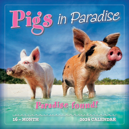 PIGS IN PARADISE 2024 SQUARE