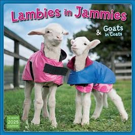 BROWN TROUT LAMBIES IN JAMMIES & GOATS IN COATS 2025 SQUARE CALENDAR