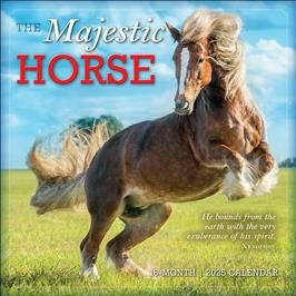 BROWN TROUT MAJESTIC HORSE 2025 SQUARE CALENDAR