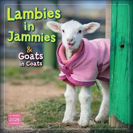 LAMBIES IN JAMMIES & GOATS IN COATS 2026 SQUARE