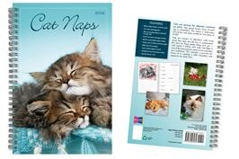 CAT NAPS 2026 ENGAGEMENT