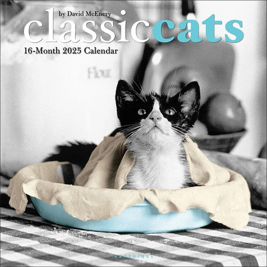 BROWN TROUT CLASSIC CATS 2025 SQUARE CALENDAR