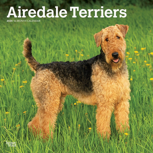AIREDALE TERRIERS 2024 SQUARE