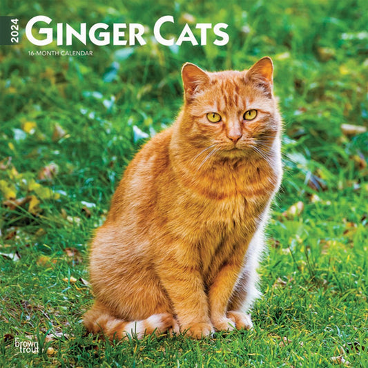 GINGER CATS 2024 SQUARE