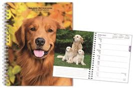 BROWN TROUT GOLDEN RETRIEVERS 2025 ENGAGEMENT  