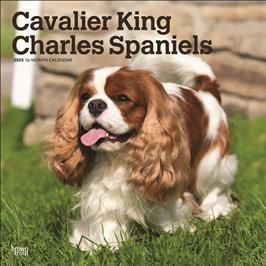 BROWN TROUT CAVALIER KING CHARLES SPANIELS 2025 SQUARE CALENDAR