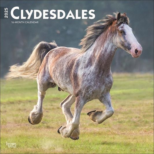 BROWN TROUT CLYDESDALES 2025 SQUARE CALENDAR