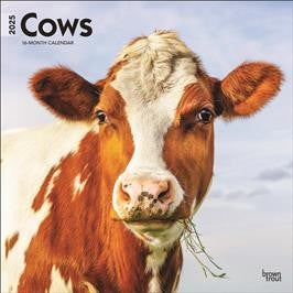 BROWN TROUT COWS 2025 SQUARE CALENDAR