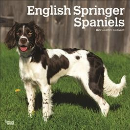 BROWN TROUT ENGLISH SPRINGER SPANIELS 2025 SQUARE CALENDAR